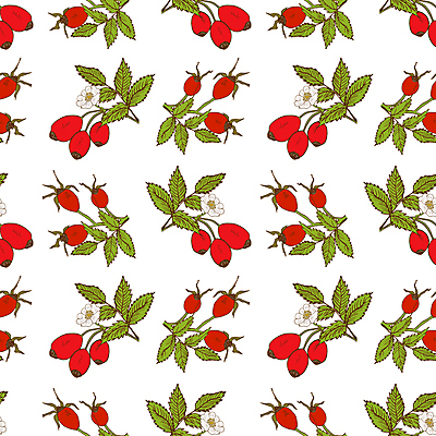 JPG 해외이미지 디자인 열매 꽃 백그라운드 패턴 일러스트 사람없음 패턴백그라운드 해외일러스트 해외포토 포토 식물 무늬 파일형식 이미지허브