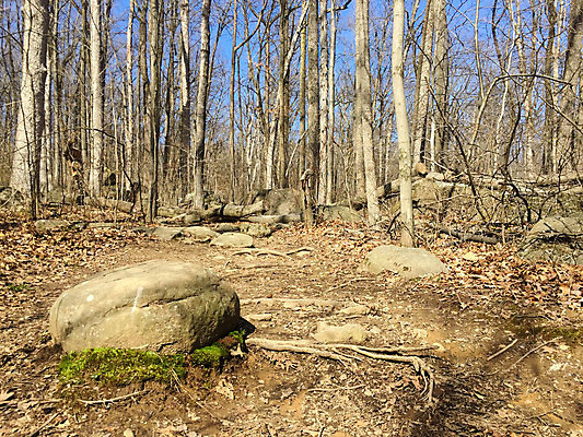 포토 JPG 해외이미지 나무 식물 계절 공원 길 백그라운드 낙엽 잎 패턴 자연 하늘 건강 이끼 사람없음 야외 목재 초록색 컬러풀 갈색 노란색 환경 희망 하이킹 추위 숲 11월 질감 10월 내추럴 삼림지대 해외포토 공공시설 감정 컬러 무늬 재료 레저 날짜 생태계 파일형식 이미지허브