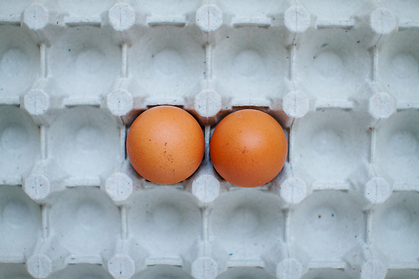 포토 JPG 해외이미지 종이 음식 백그라운드 다이어트 재료 탁자 부활절 건강 요리 사람없음 목재 빛 농장 갈색 노란색 우주 계란 식사 치킨 껍질 시골 신선 카세트테이프 오픈 그룹 아침식사 먹기 유기농 날것 노른자 건강식 내추럴 점심식사 단백질 암탉 해외포토 나무 웰빙 기념일 컬러 가구 농업 모션 알 닭 암컷 닭고기요리 영양소 파일형식 이미지허브