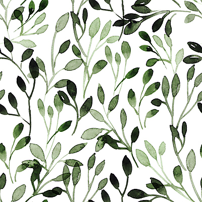 JPG 해외이미지 식물 잎 일러스트 붓터치 수채화 사람없음 뷰티 그림 번짐 해외일러스트 파일형식 효과 이미지허브