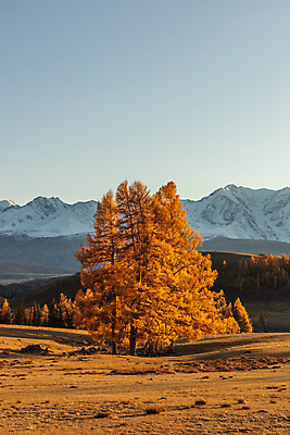포토 JPG 해외이미지 나무 구름 계절 공원 여행 백그라운드 오렌지 자연 하늘 아침 날씨 산 파노라마 풍경 사람없음 야외 파란색 컬러풀 노란색 일출 계곡 맑음 일몰 놀람 안개 가을 시골 도시 오픈 숲 언덕 장면 10월 해외포토 주간 자연요소 식물 공공시설 감정 컬러 과일 촬영기법 표정 노을 날짜 생태계 파일형식 이미지허브
