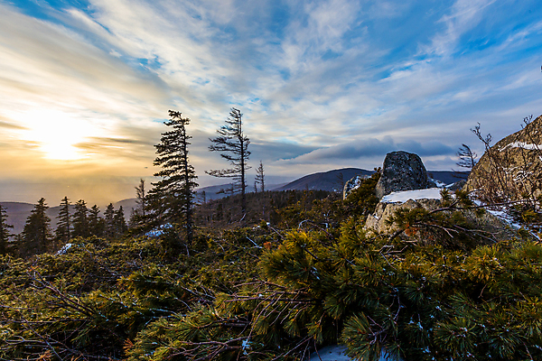 포토 JPG 해외이미지 나무 1 계절 여행 백그라운드 겨울 밭 자연 하늘 산 주택 사람없음 야외 초록색 빛 세계 햇빛 태양 일출 맑음 일몰 추위 시골 소나무 정상 숲 오두막 즐거움 장면 내추럴 해외포토 자연요소 식물 감정 컬러 농업 날씨 건물 노을 생태계 파일형식 이미지허브