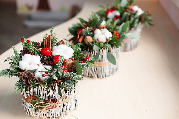 포토 JPG 해외이미지 나무 식물 전통 디자인 계절 열매 꽃 리본 꽃다발 백그라운드 크리스마스 겨울 꽃무늬 자연 휴가 새로움 사람없음 목재 장식 빨간색 초록색 축제 화환 나뭇가지 축하 인사 소나무 막대기 12월 배열 꽃집 상록수 전나무 내추럴 시나몬 가문비나무 해외포토 기념일 컬러 컨셉 무늬 재료 상점 예절 날짜 생태계 파일형식 이미지허브