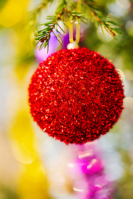 포토 JPG 해외이미지 나무 계절 리본 백그라운드 컨셉 크리스마스장식 크리스마스 겨울 공 휴가 새로움 매달리기 사람없음 목재 장식 빨간색 초록색 빛 컬러풀 장난감 크리스마스트리 노란색 축제 장식볼 나뭇가지 축하 소나무 원형 황금 소프트포커스 연도 보케 해피뉴이어 광 구성 해외포토 도형 식물 기념일 컬러 재료 모션 촬영기법 새해인사 파일형식 이미지허브