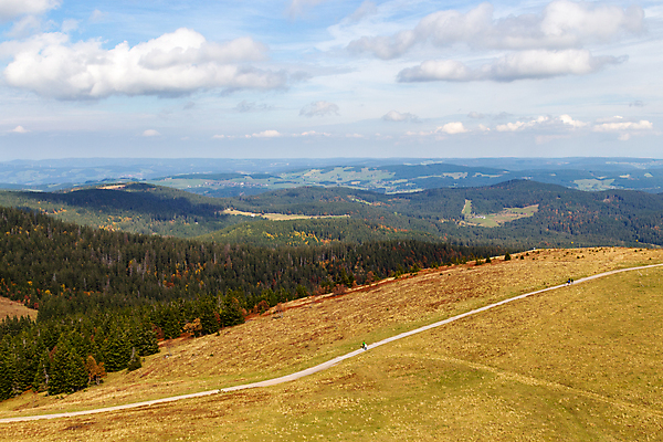 포토 JPG 해외이미지 나무 식물 자국 자연 휴가 산 파노라마 풍경 사람없음 야외 목재 관광지 컬러풀 걷기 탑 하이킹 가을 숲 땅 해외포토 건축물 계절 컬러 여행 재료 모션 레저 촬영기법 생태계 파일형식 이미지허브