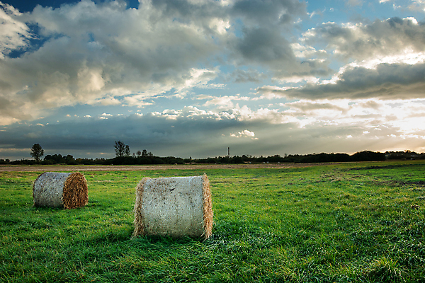 포토 JPG 해외이미지 산업 백그라운드 밭 농업 자연 하늘 건조 사람없음 야외 초록색 파란색 뷰티 농장 노란색 환경 어둠 황혼 수확 흰색 시골 원형 건초더미 볏짚 밀 패키지 뭉치 내추럴 밭일 수평선 해외포토 도형 컬러 곡류 일몰 건초 짚 생태계 파일형식 더미 이미지허브