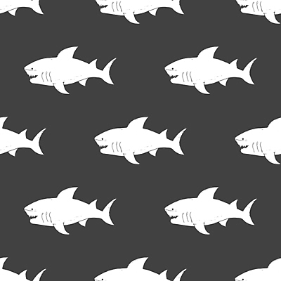 포토 JPG 해외이미지 백그라운드 패턴 사람없음 패턴백그라운드 그림 상어 해외포토 무늬 어류 파일형식 이미지허브