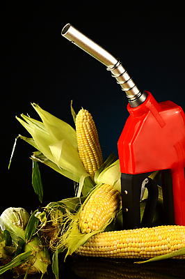 포토 JPG 해외이미지 검은배경 실내 옥수수 사람없음 연료 주유기 주유건 해외포토 백그라운드 곡류 내부 검은색 기계 주유 파일형식 이미지허브