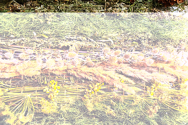 포토 JPG 해외이미지 식물 꽃 음식 백그라운드 잎 농업 자연 건조 건강 종류 사람없음 목재 초록색 약 농장 정원 스파 화장품 시골 신선 널 약초 혼합 다발 허브 향신료 보따리 유기농 아로마 향 아로마테라피 테라피 라벤더 내추럴 섞기 자연요법 해외포토 나무 웰빙 산업 컬러 재료 의학 뷰티 풀_식물 생태계 향미료 파일형식 이미지허브