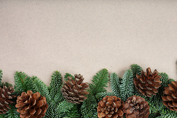 포토 JPG 해외이미지 나무 템플릿 전통 디자인 계절 종이 백그라운드 크리스마스 겨울 텍스트 벽지 휴가 새해 프레임 사람없음 장식 빛 갈색 축제 나뭇가지 축하 인사 소나무 신용카드 12월 심플 전나무 원뿔 목업 카피스페이스 해외포토 도형 식물 기념일 컬러 컨셉 금융 공백 예절 날짜 파일형식 이미지허브