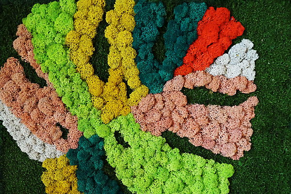 포토 JPG 해외이미지 식물 디자인 벽 백그라운드 잎 패턴 자연 벽지 표면 추상 이끼 사람없음 내부 장식 세로 초록색 빛 컬러풀 갈색 노란색 환경 정원 성장 신선 판넬 숲 묘사 그림 생태계 질감 조경 리빙 내추럴 생태학 옛날 해외포토 교육 컬러 무늬 파일형식 이미지허브