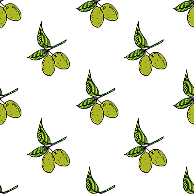 JPG 해외이미지 디자인 잎 패턴 일러스트 사람없음 패턴백그라운드 올리브 해외일러스트 해외포토 포토 식물 열매 백그라운드 무늬 파일형식 이미지허브