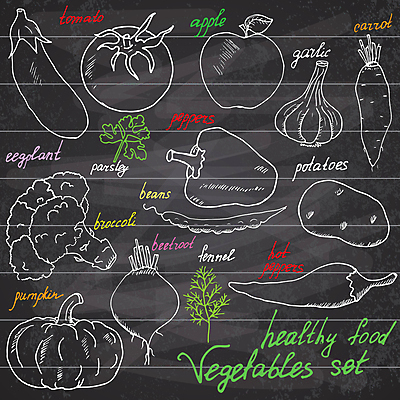 JPG 해외이미지 토마토 일러스트 고추 호박 가지 감자 파슬리 마늘 타이포그라피 사람없음 당근 낙서 사과 브로콜리 그림 완두콩 후추 비트 펜넬 해외일러스트 문자 채소 과일 콩 뿌리채소 향신료 파일형식 이미지허브