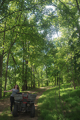 포토 JPG 해외이미지 나무 계절 공원 여자 여행 잎 자연 휴가 휴식 건강 한명 풍경 야외 목재 초록색 여름 환경 정원 맑음 자유 가을 영혼 숲 개성 내추럴 삼림지대 흙길 해외포토 식물 1 공공시설 길 컬러 컨셉 재료 날씨 사람 흙 생태계 파일형식 이미지허브