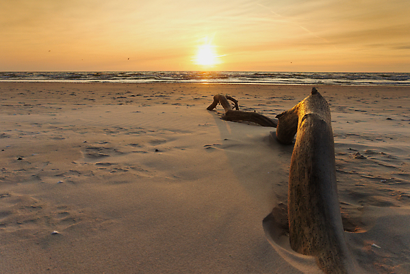 포토 JPG 해외이미지 나무 구름 모래 바다 섬 여행 백그라운드 오렌지 자연 하늘 휴가 휴식 풍경 사람없음 야외 물 여름 파란색 햇빛 태양 뷰티 맑음 침묵 일몰 나뭇가지 만 원형 저녁 휴양지 매움 각도 석호 내추럴 이국적 파라다이스 수평선 해외포토 자연요소 도형 식물 계절 컬러 컨셉 과일 날씨 노을 소리 장소 맛 야간 생태계 파일형식 이미지허브