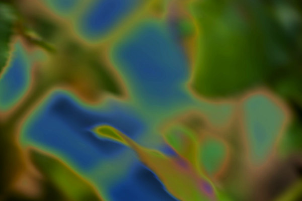 포토 JPG 해외이미지 모양 식물 디자인 꽃 파도 백그라운드 컨셉 잎 패턴 자연 벽지 추상 기념 미술 사람없음 초록색 파란색 빛 컬러풀 뷰티 노란색 정원 봄 광선 신선 소프트포커스 질감 보케 네온 부드러움 내추럴 광 블러 환각 효과 해외포토 계절 바다 컬러 무늬 문화예술 촬영기법 감각 생태계 증상 파일형식 이미지허브