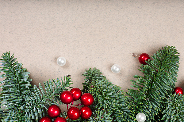 포토 JPG 해외이미지 나무 템플릿 디자인 배너 열매 종이 백그라운드 크리스마스 겨울 패턴 공 휴가 새해 프레임 사람없음 장식 빨간색 초록색 갈색 공백 장식볼 흰색 나뭇가지 축하 신용카드 클래식 심볼 질감 침엽수 전나무 내추럴 목업 가문비나무 카피스페이스 해외포토 식물 계절 기념일 컬러 컨셉 무늬 금융 파일형식 이미지허브