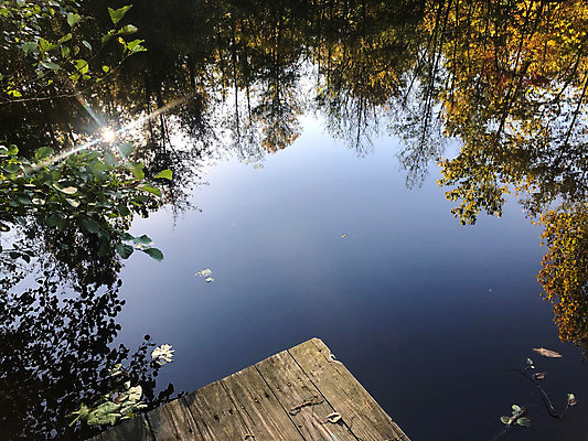 포토 JPG 해외이미지 나무 라이프스타일 웰빙 공원 길 호수 여행 백그라운드 단풍 잎 건축양식 자연 하늘 표면 휴가 휴식 풍경 사람없음 야외 목재 초록색 물 여름 파란색 환경 침묵 산책 자유 가을 연못 널 숲 명상 개성 내추럴 방법 옛날 카피스페이스 해외포토 자연요소 식물 계절 공공시설 건축 컬러 컨셉 재료 생활 소리 공백 생태계 파일형식 이미지허브