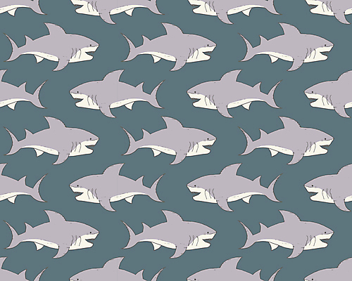 포토 JPG 해외이미지 백그라운드 패턴 사람없음 패턴백그라운드 그림 상어 해외포토 무늬 어류 파일형식 이미지허브