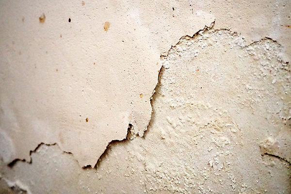 포토 JPG 해외이미지 벽 주택 건강 사람없음 내부 검은색 페인트 방 젖음 촉촉함 흰색 모서리 수리 위생 수분 먼지 박테리아 곰팡이 그런지 위생관리 해외포토 컬러 의학 관리 건물 파일형식 이미지허브