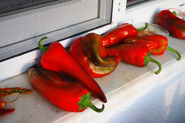 포토 JPG 해외이미지 음식 백그라운드 농업 채소 재료 건강 사람없음 빨간색 초록색 수확 신선 시장 달콤 큼 향신료 유기농 날것 후추 내추럴 고립 숙성 채식주의자 해외포토 웰빙 산업 컬러 맛 크기 채식 향미료 파일형식 이미지허브