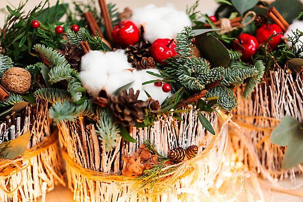 포토 JPG 해외이미지 나무 식물 전통 디자인 계절 열매 꽃 리본 꽃다발 백그라운드 크리스마스 겨울 꽃무늬 자연 휴가 새로움 사람없음 목재 장식 빨간색 초록색 축제 화환 나뭇가지 축하 인사 소나무 막대기 12월 배열 꽃집 상록수 전나무 내추럴 시나몬 가문비나무 해외포토 기념일 컬러 컨셉 무늬 재료 상점 예절 날짜 생태계 파일형식 이미지허브