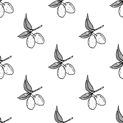 JPG 해외이미지 디자인 백그라운드 잎 패턴 일러스트 사람없음 패턴백그라운드 올리브 해외일러스트 해외포토 포토 식물 열매 무늬 파일형식 이미지허브