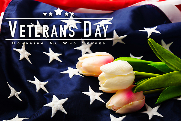 포토 JPG 해외이미지 꽃 별 백그라운드 휴가 군대 기념 사람없음 빨간색 파란색 미국 튤립 자유 흰색 하트 축하 깃발 떨어짐 왕 심볼 군용 영웅 병정 기념물 애국심 명예 7월 장례 독립 장식함 전국 해외포토 자연요소 모양 식물 컬러 컨셉 북아메리카 날짜 파일형식 이미지허브