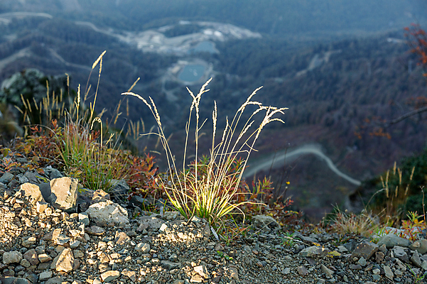 포토 JPG 해외이미지 주간 나무 식물 계절 백그라운드 잎 자연 산 풍경 경사 사람없음 야외 초록색 여름 뷰티 언덕 산등성이 내추럴 그리너리 해외포토 자연요소 컬러 생태계 파일형식 트랜드컬러 이미지허브