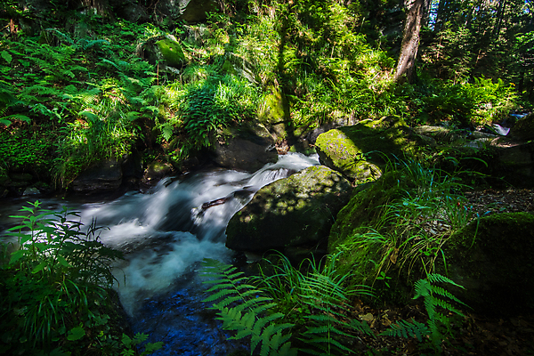 포토 JPG 해외이미지 공원 파도 비즈니스 모션 자연 사람없음 야외 물 햇빛 태양 뷰티 환경 힘 봄 폭포 하이킹 젖음 흐름 에너지 개울 해외포토 자연요소 계절 공공시설 바다 컨셉 레저 강 생태계 파일형식 이미지허브