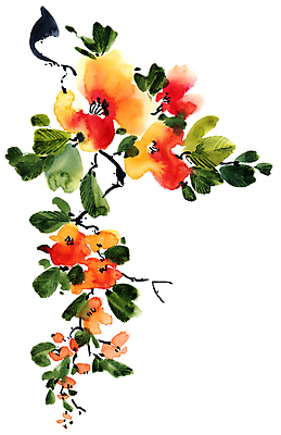 JPG 해외이미지 식물 꽃 일러스트 붓터치 수채화 동양인 사람없음 뷰티 그림 번짐 해외일러스트 인종 파일형식 효과 이미지허브