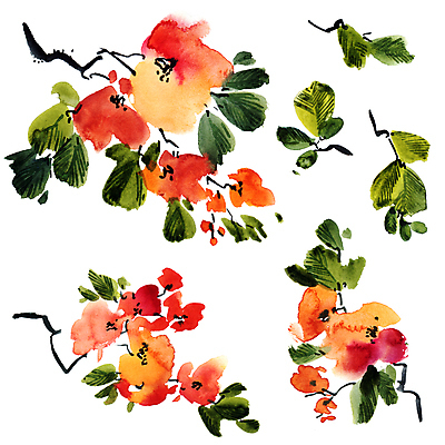 JPG 해외이미지 식물 꽃 일러스트 붓터치 동양인 사람없음 뷰티 그림 번짐 해외일러스트 인종 파일형식 효과 이미지허브