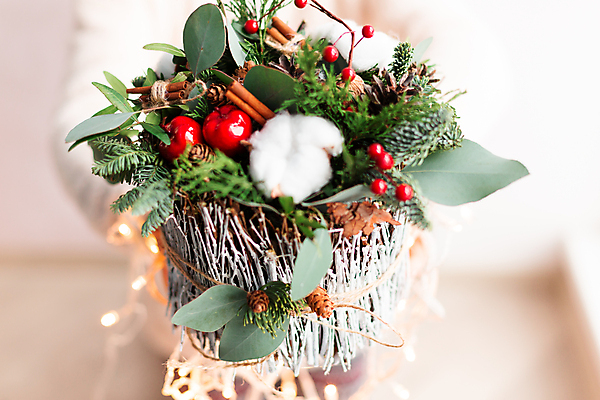 포토 JPG 해외이미지 나무 식물 전통 디자인 계절 열매 꽃 리본 꽃다발 백그라운드 크리스마스 겨울 꽃무늬 자연 휴가 새로움 사람없음 목재 장식 빨간색 초록색 축제 화환 나뭇가지 축하 인사 소나무 막대기 12월 배열 꽃집 상록수 전나무 내추럴 시나몬 가문비나무 해외포토 기념일 컬러 컨셉 무늬 재료 상점 예절 날짜 생태계 파일형식 이미지허브