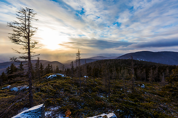 포토 JPG 해외이미지 나무 구름 1 계절 여행 백그라운드 겨울 밭 자연 하늘 산 주택 풍경 사람없음 야외 초록색 빛 세계 햇빛 태양 일출 맑음 일몰 추위 시골 소나무 정상 숲 오두막 즐거움 장면 내추럴 해외포토 자연요소 식물 감정 컬러 농업 날씨 건물 노을 생태계 파일형식 이미지허브
