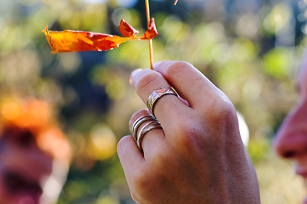 포토 JPG 해외이미지 나무 식물 손 계절 공원 백그라운드 단풍 잎 패턴 오렌지 손가락 자연 벽지 사람없음 야외 빛 컬러풀 햇빛 갈색 노란색 환경 정원 활발 젖음 나뭇가지 잡기 황금 떨어짐 숲 수집 언덕 질감 10월 고립 땅바닥 떠남 해외포토 공공시설 컬러 컨셉 무늬 과일 모션 바닥 신체부위 태양 날짜 생태계 파일형식 이미지허브