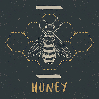 포토 JPG 해외이미지 동물 템플릿 디자인 배너 포스터 야생동물 선 곤충 백그라운드 스티커 일러스트 자연 흑백 미술 타이포그라피 사람없음 그래픽 장식 라벨 수확 신용카드 클래식 벌레 낙서 말벌 인쇄 스케치 심볼 그림 질감 복고 생물학 윤곽 배지 손그림 꿀 우표 벌집 골프티 휘장 그런지 해외일러스트 문자 교육 컨셉 농업 문화예술 골프용품 프레임 촬영기법 금융 벌_곤충 생태계 파일형식 이미지허브