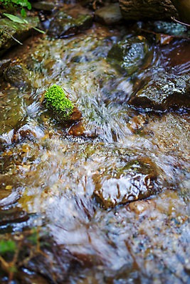 포토 JPG 해외이미지 나무 식물 계절 백그라운드 잎 모션 자연 표면 추상 이끼 사람없음 야외 목재 초록색 파란색 컬러풀 갈색 환경 맑음 수중 젖음 추위 신선 개울 떨어짐 숲 질감 내추럴 스플래쉬 해외포토 컬러 컨셉 무늬 재료 날씨 강 생태계 파일형식 이미지허브
