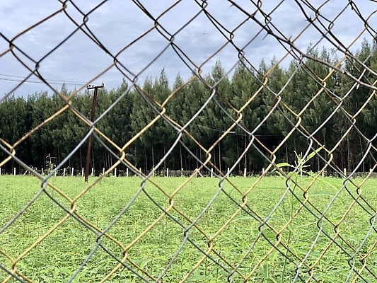 포토 JPG 해외이미지 벽 여행 백그라운드 패턴 밭 자연 하늘 추상 프레임 안전 풍경 사람없음 야외 초록색 여름 파란색 울타리 금속 축구 봄 가을 경계선 그물 보호 접속 바리케이드 철 원예 질감 보안 철사 새장 망사 내추럴 땅바닥 밭일 철강 해외포토 계절 선 컬러 컨셉 무늬 농업 재질 바닥 취미 담장 구기 직물 경계 생태계 케이지 파일형식 이미지허브