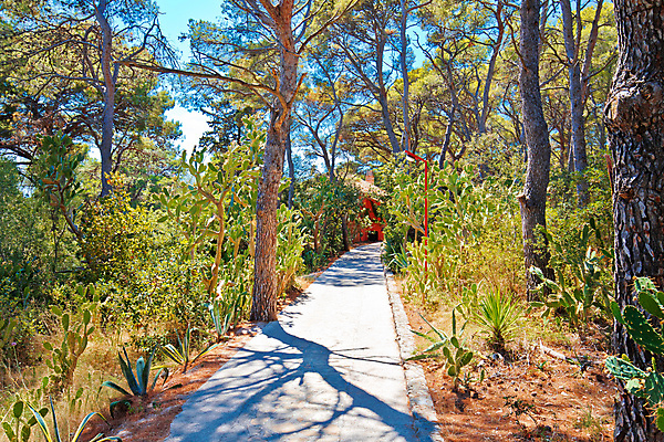 포토 JPG 해외이미지 식물 공원 바다 섬 여행 요트 자연 선인장 파노라마 손바닥 사람없음 초록색 물 파란색 여행객 항구 정원 놀람 소나무 보트 지중해 크로아티아 내추럴 다도해 달마시안 터키석 해외포토 자연요소 나무 손 공공시설 감정 유럽 컬러 배_교통 교통시설 촬영기법 표정 사람 개 보석 생태계 파일형식 이미지허브