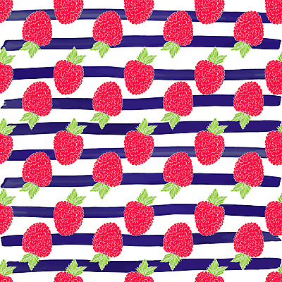 포토 JPG 해외이미지 잎 패턴 사람없음 빈티지 스케치 산딸기 손그림 가로줄 해외포토 식물 선 컨셉 무늬 과일 미술 파일형식 이미지허브