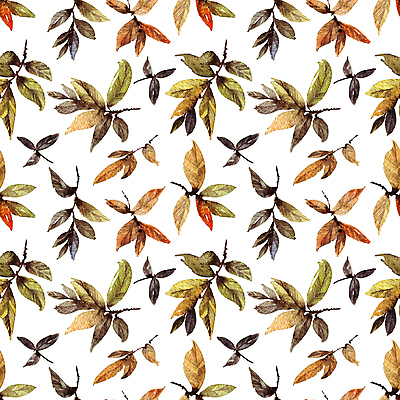 JPG 해외이미지 식물 잎 일러스트 붓터치 동양인 사람없음 뷰티 그림 번짐 해외일러스트 인종 파일형식 효과 이미지허브