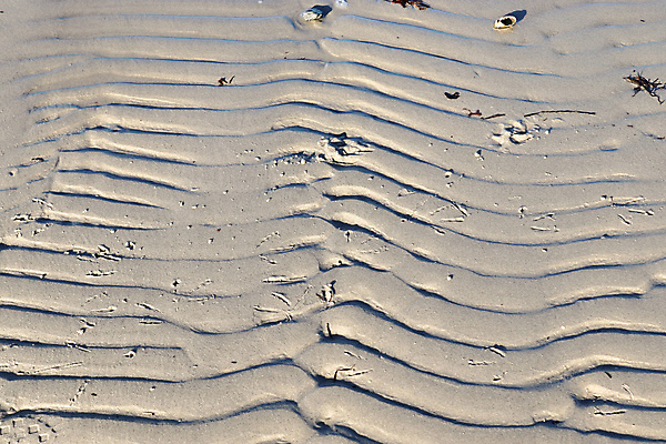포토 JPG 해외이미지 디자인 모래 파도 바다 여행 백그라운드 패턴 자연 벽지 표면 추상 휴가 건조 사람없음 물 여름 빛 모래사장 갈색 노란색 우주 사막 껍질 조약돌 바위 황금 작음 질감 내추럴 카피스페이스 해외포토 자연요소 계절 컬러 무늬 공백 돌_바위 크기 생태계 파일형식 이미지허브