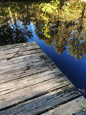 포토 JPG 해외이미지 나무 라이프스타일 웰빙 공원 길 호수 여행 백그라운드 단풍 잎 건축양식 자연 하늘 표면 휴가 휴식 사람없음 야외 목재 초록색 물 파란색 환경 침묵 산책 자유 연못 널 숲 명상 개성 내추럴 방법 옛날 카피스페이스 해외포토 자연요소 식물 공공시설 건축 컬러 컨셉 재료 생활 소리 공백 생태계 파일형식 이미지허브