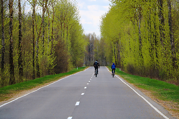 포토 JPG 해외이미지 나무 라이프스타일 공원 여자 남자 도로 스포츠 여행 백그라운드 교통시설 자연 하늘 산 건강 사람 사람없음 야외 친구 농작물 운동 자전거 운전 시골 바퀴 쌍 승차 언덕 속도 역동적 순환 사이클링 라이더 바이킹 해외포토 식물 공공시설 길 교통 컨셉 농업 관계 모션 생활 바이크 육상스포츠 시설 생태계 파일형식 이미지허브