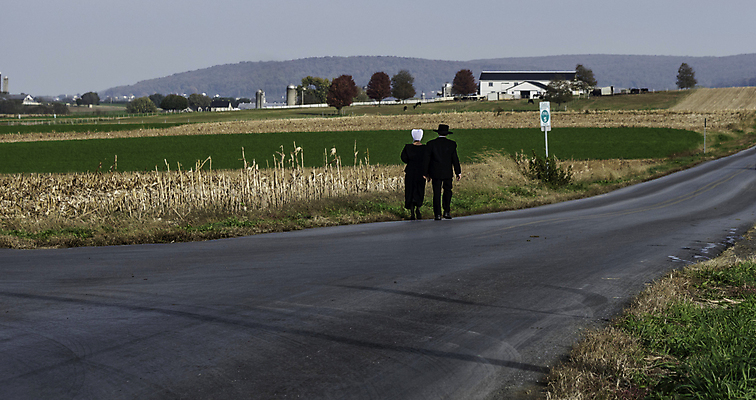 포토 JPG 해외이미지 동물 구름 전통 커플 종교 도로 길 여행 농업 교통시설 자연 풍경 사람없음 야외 유행 걷기 봄 활발 장비 수확 시골 역사 농부 복고 마차 유모차 구식 해외포토 자연요소 직업 계절 산업 교통수단 교통 컨셉 관계 모션 아기용품 시설 생태계 파일형식 이미지허브