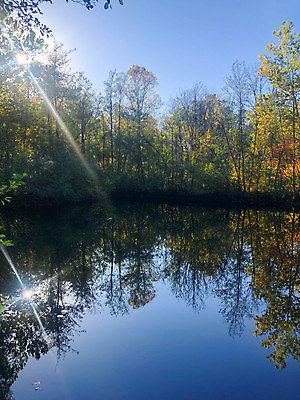 포토 JPG 해외이미지 나무 계절 호수 백그라운드 단풍 겨울 자연 하늘 날씨 추상 휴가 사람없음 야외 물 파란색 강 반사 환경 일몰 흰색 나뭇가지 숲 장면 내추럴 카피스페이스 해외포토 자연요소 식물 컬러 잎 무늬 노을 공백 생태계 파일형식 이미지허브
