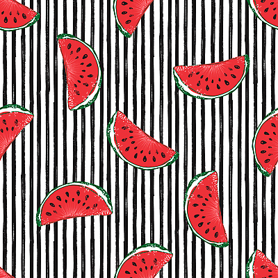 포토 JPG 해외이미지 패턴 단면 수박 사람없음 빈티지 스케치 손그림 세로줄 수박씨 해외포토 선 컨셉 무늬 과일 미술 씨앗 파일형식 이미지허브