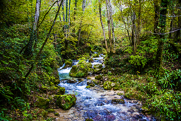 포토 JPG 해외이미지 나무 식물 유럽 길 여행 잎 자연 휴가 산 파노라마 풍경 사람없음 야외 목재 초록색 물 여름 강 걷기 환경 봄 이탈리아 트래킹 폭포 하이킹 흐름 가을 바위 시골 소나무 개울 숲 알프스 내추럴 해외포토 자연요소 계절 나라 컬러 컨셉 재료 모션 레저 촬영기법 돌_바위 생태계 파일형식 이미지허브
