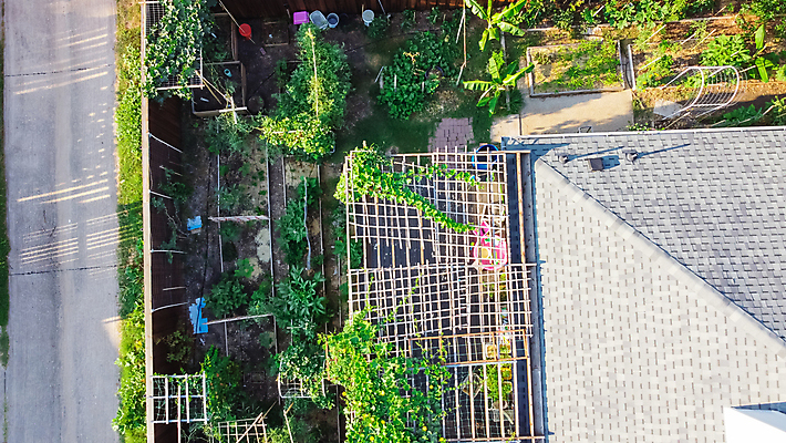 포토 JPG 해외이미지 식물 농업 채소 과일 자연 주택 안테나 잔디 사람없음 야외 초록색 환경 정원 미국 흙 성장 숲 옥상 갑판 허브 대나무 유기농 원예 머리위 먼지 포도나무 커뮤니티 유지 거름 밭일 생태학 심기 텍사스 해외포토 나무 웰빙 교육 산업 컬러 북아메리카 배_교통 통신 모션 취미 건물 과일나무 생태계 파일형식 이미지허브