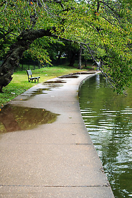 포토 JPG 해외이미지 나무 웰빙 공원 도로 길 선 백그라운드 곡선 벤치 자연 휴식 풍경 사람없음 야외 초록색 물 여름 평화 환경 정원 산책 슬픔 연못 보행로 숲 오솔길 명상 조경 웅덩이 일반 내추럴 방법 우울증 해외포토 자연요소 식물 계절 공공시설 감정 컬러 컨셉 의자 교통시설 질병 생태계 파일형식 이미지허브